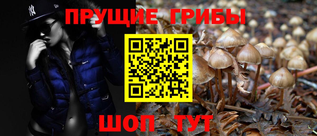 Псилоцибиновые грибы MAGIC MUSHROOMS  Псилоцибиновые грибы ЛСД  купить   Муром  Вход с VPN 